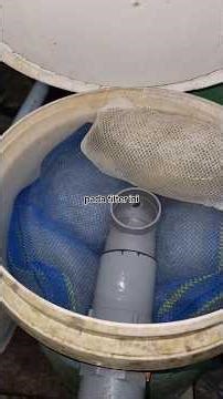 Susunan media filter kolam ikan sistem RAS #sistemras