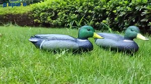 Amazon.com: Extremely Realistic Floating Duck Decoys with Weighted Keels, Floating Ducks for Pool, Pond & Lake, 10.2 Inch Small Mallard Duck Decoy for Garden Pool Yard Lake Decoration : Patio, Lawn & Garden
