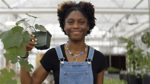 Cornell AgriTech summer program draws undergrads from across US | Cornell Chronicle