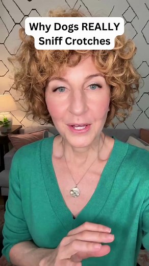 Why does your dog sniff your crotch? It's definitely not what you think 🐕🐾 #pets #dogs #woof #animals #doglife #dogmom #dogdad #petparent #petpsychic #animalcommunicator #daniellemackinnon | Danielle MacKinnon