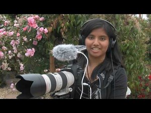 Ultimate sound recording in Canon 5D / 7D and Sony PCM-D50