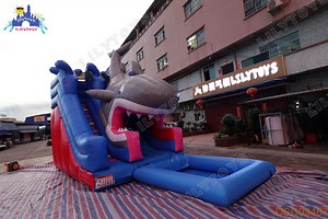 [Hot Item] Inflatable Slide with Swimming Pool Inflatable Water Slide