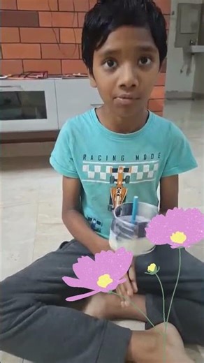 “Create Your Own Zoetrope | Amazing Optical Illusion Project”