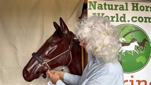 Just quickly explaining the checks to make for fitting and how the LightRider chinstrap works. :) @naturalhorseworld | LightRider Bitless Bridles
