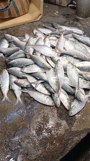 contai supar market