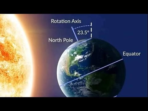 CELL to Singularity : Evolution #cells