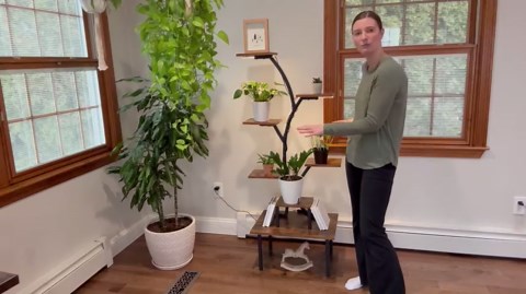 Plant Stand Indoor with Grow Lights, 8 Tier Multiple Plant Shelf, 56.7" Tall Lighted Plant Stand, S-Shaped Corner Plants Stand Rack, Flowers Holder for Home Living Room Balcony Patio Garden