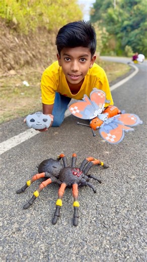 Remote Control Giant Tarantula🦞and fukamakdi🦋✨