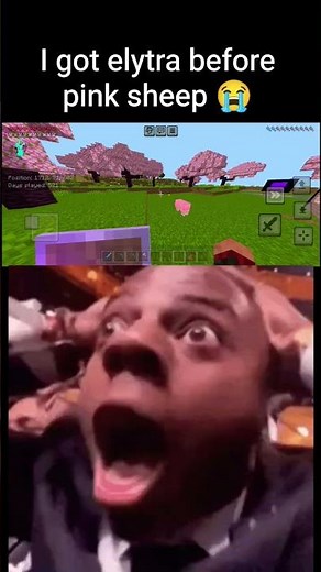 The rarest entity in Minecraft the pink sheep #minecraft #gaming #luck #shorts