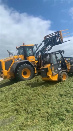 Kiedy wjeżdża ciężki sprzęt... 😎 Massive silage compaction with JCB loaders! #tractor #farming