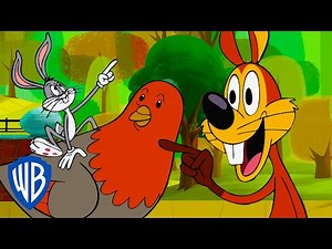Looney Tunes | Honey, I Shrunk the Rabbit | WB Kids