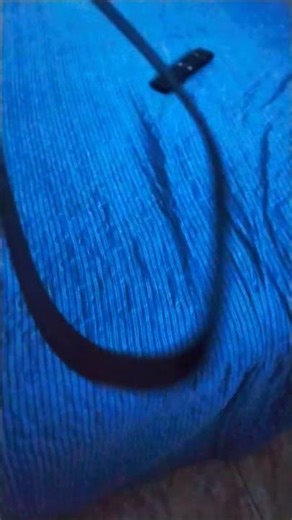 parte 2 do bicho do fant #memes asma preto