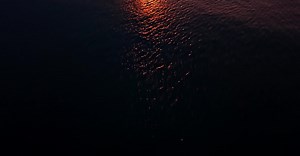 Pexels Marco Leitner视频