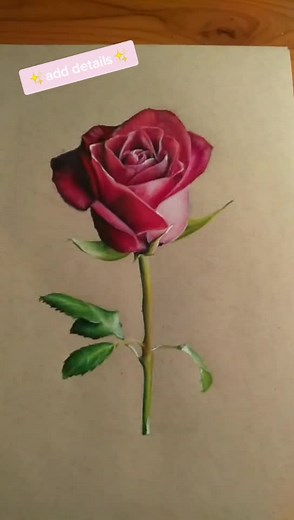 Artistic Rose Drawing Tutorial | Step-by-Step Guide