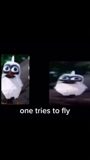 Two birds on a wire meme sped up #edit #memes #funny #twobirdsonawire #meme #viral #makethisgoviral