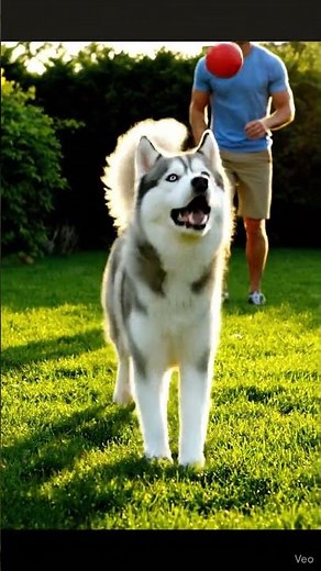 🎬 Episode 26 — “The Backyard Play 🌳 Joyful Moments”