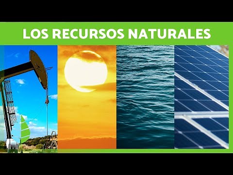 What are natural resources? ☀️💧 (Definition, Classification, and Examples)