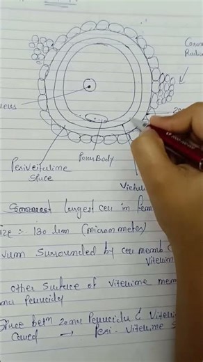 “Structure of ovum — easy, short aur exam-oriented!” Krishna nursing academy #nursing #ytshorts