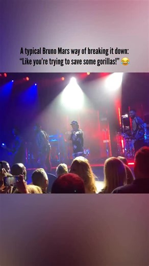 A typical Bruno Mars break-down: “Like you’re trying to save some gorillas!” 😂 Bruno Mars headlined this event called “Gorillapalooza”, which took place on October 12, 2019. The event was a fundraiser for gorilla conservation, organized by The Ellen Fund, co-founded by Ellen DeGeneres and Portia de Rossi. • • • #BrunoMars #BreakDown #LuckyForYou #ThatsWhatILike #GorillaPalooza #Gorilla #Conservation #GorillaConservation #EllenFund #TheEllenFund #EllenDegeneres #PortiaDeRossi #Charity #Fundraisi