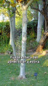 Convierte tu casa en un mágico escenario navideño jugando con la iluminación 💡🎄. ¿Cuál es tu favorito? ✅ Ref. 85349384 - Cortina luminosa 400 LED exterior blanco 200x200cm ✅ Ref. 82571506 - Hilo de luces para Árbol de 2,40m exterior de 240 led blanco 1m ✅ Ref. 85349340 - Guirnalda de árbol 1,80m 100luces led Cálido 5m longitud de iluminación ✅ Ref. 82233878 - Guirnalda de árbol 2,40 m 250 luces led blanco 3m longitud de iluminación ✅ Ref. 82233919 - Cortina 120 bombillas LED Blanco frío 300x50