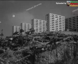 100K views · 2K reactions | Relogement des habitants des bidonvilles du Clos Salembier a Alger. On voit a l'écran la nouvelle cité de Disette Echems. Reportage du 26 juin 1961 (SCA) | Nature Histoire Culture | Facebook