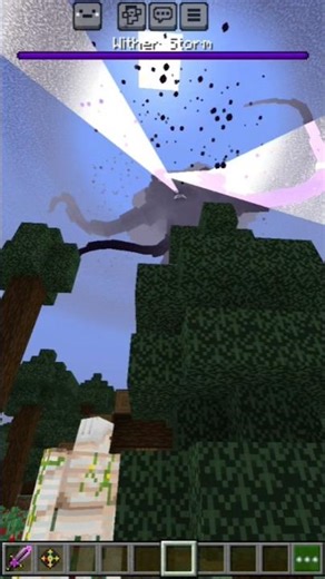 Totally Accurate Wither Storm