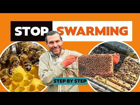 How To Split a Beehive. Fast and Simple Step by Step Method