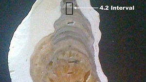 Scientists discover new Meghalayan age in Earth's history