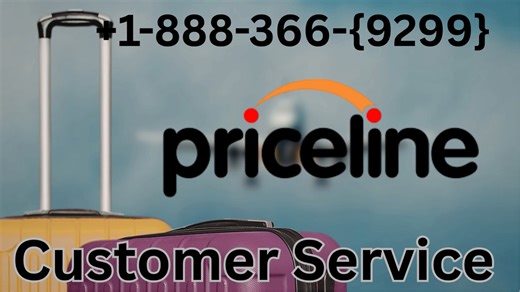 Priceline®®® Customer Service Complete Guide Step-by-Step Help & Support 247 Priceline