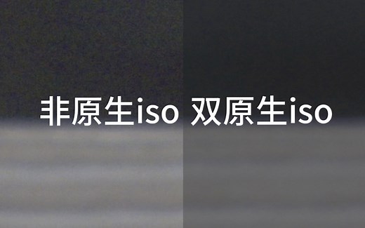 以尼康Z8为例，手把手教你怎么知道自己相机的双原生iso准确数值