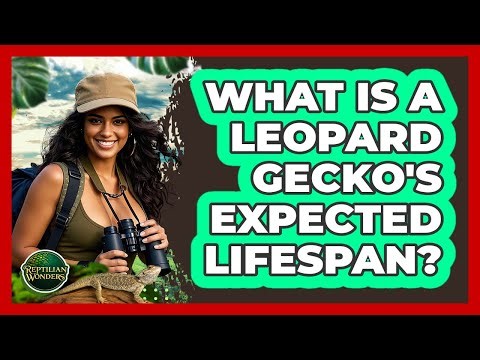 What Is A Leopard Gecko's Expected Lifespan?