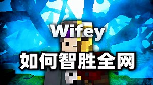 [中配]Wifey如何智胜全网 - SkyBoi
