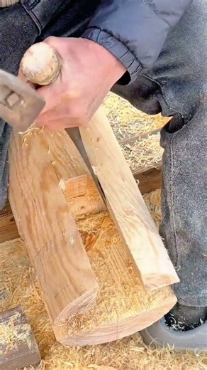 chiseling square notch into wooden log with sharp hand tool for structural joinery construction