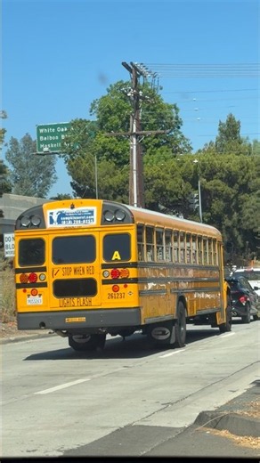 Mission School Transportation 2027 Blue Bird Vision #261237