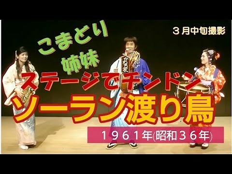 かわち家チンドン演奏【その12】「ソーラン渡り鳥」
