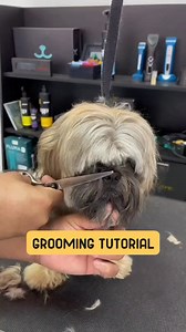 2M views · 18K reactions | Grooming tutorial ✂️ #monitizereels #fypシ゚ Disclaimer:This video not mine, credit to the rightful owner,no copyright infredegement | Mayro | Facebook