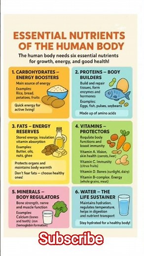 Six essential nutrients 🍎🍋🍅🥒🥦 | Essential nutrients for body