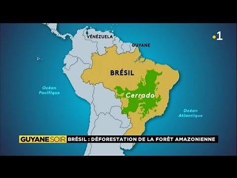 Brésil: Déforestation de la forêt amazonienne.
