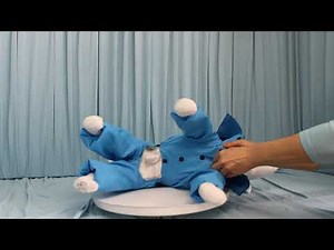 Coudre un manteau pour chien! Patron d' imperméable chien: Canada #chiens #chien #Canada