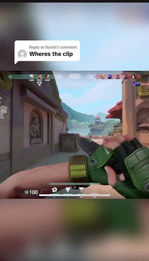 Skye’s Best Plays in Valorant