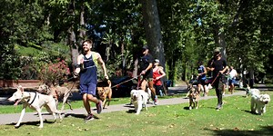 How This L.A. Marathoner Turned Running With Dogs Into a Full-Time Job
