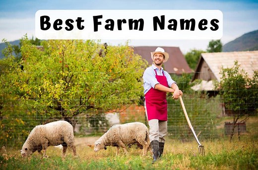 1079 Best Farm Names - Catchy, Unique, Romantic, Clever
