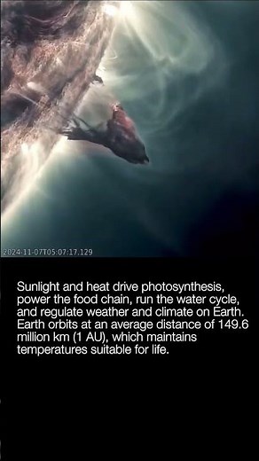 How Sunlight Shapes Life on Earth: Photosynthesis, Climate & the 1 AU Orbit