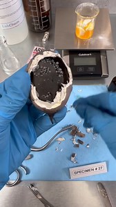 55K views · 81 reactions | They don't want you to know this!  (produced by Kyle & Mistie) | Tips, Tricks & Funny Clips | Facebook