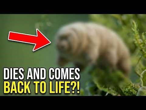 This Animal Survives Its Own Death (Scientists Can't Explain How)