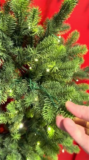 Raz 28" Real Feel Pre-Lit Douglas Fir Christmas Wreath W4604829
