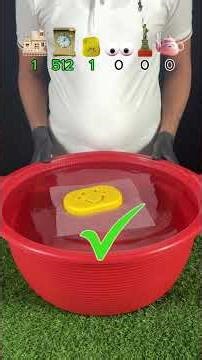 Float or Sink? The Wooden House Test Went Wrong…