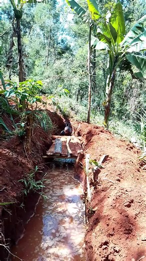 soldier Mike (@soldier.mike6)’s videos with Military Endurance Training - Florews