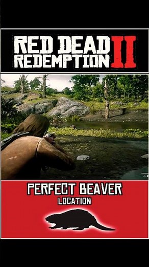 Red Dead Redemption 2 - Perfect Beaver Location
