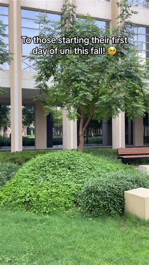 Transitioning from Alumni to Physics Teacher: Inspiring Freshmen